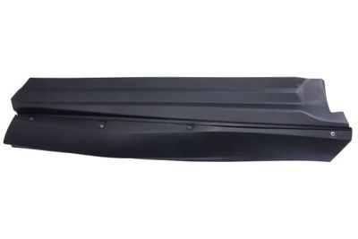 Trim/Protection Strip, door BLIC 5703-04-8166576P