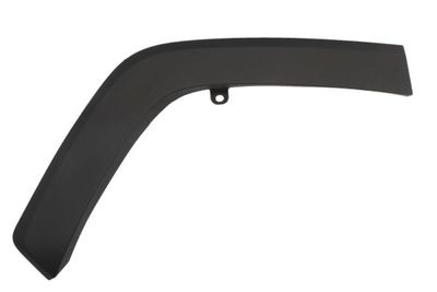 Trim/Protection Strip, wing BLIC 5703-04-8186594P