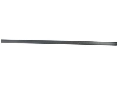 Trim/Protection Strip, wing BLIC 5703-04-9523571PP