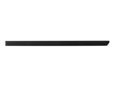 Trim/Protection Strip, wing BLIC 5703-04-9523573P