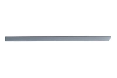 Trim/Protection Strip, wing BLIC 5703-04-9523577P