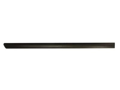 Trim/Protection Strip, wing BLIC 5703-04-9539574P