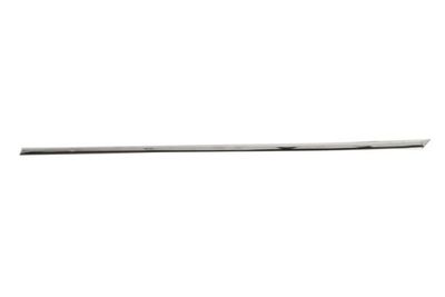 Trim/Protection Strip, wing BLIC 5703-04-9540573CP