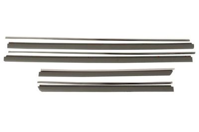 Trim/Protection Strip, door BLIC 5703-04-9540575CP