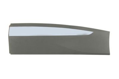 Trim/Protection Strip, door BLIC 5703-04-9584573P