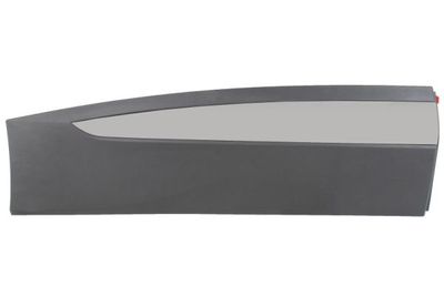 Trim/Protection Strip, door BLIC 5703-04-9584574P