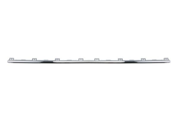 BLIC 5703-05-0042920P Trim/Protection Strip, bumper