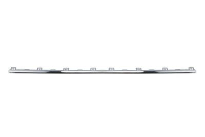 Trim/Protection Strip, bumper BLIC 5703-05-0042920P