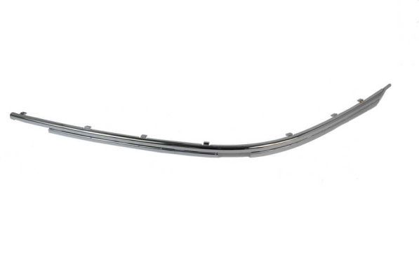 BLIC 5703-05-00659281P Trim/Protection Strip, bumper
