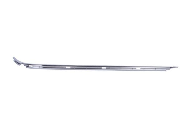 BLIC 5703-05-0065971P Trim/Protection Strip, bumper