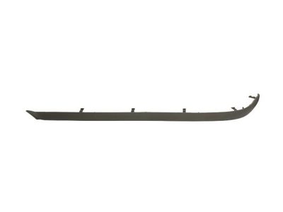 Trim/Protection Strip, bumper BLIC 5703-05-0065973P