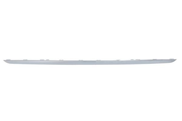 BLIC 5703-05-0071972P Trim/Protection Strip, bumper