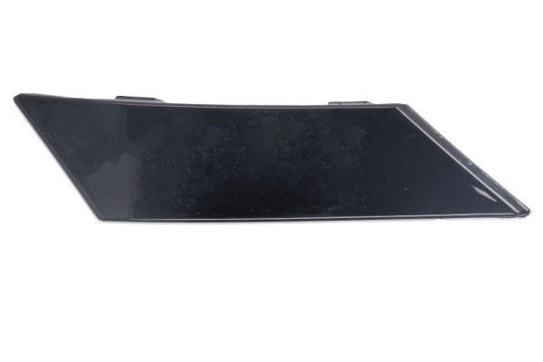 BLIC 5703-05-0073923P Trim/Protection Strip, bumper