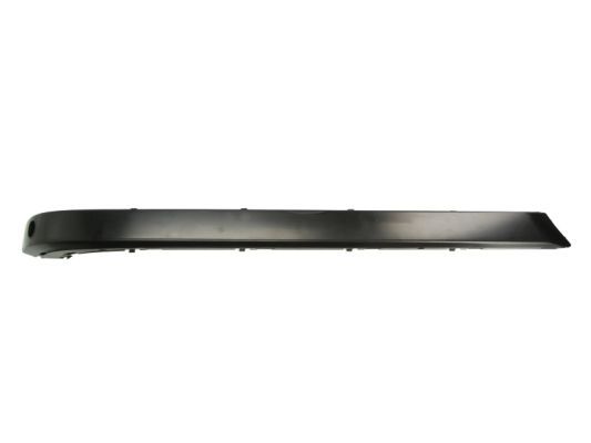 BLIC 5703-05-0075973P Trim/Protection Strip, bumper