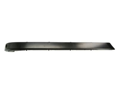 Trim/Protection Strip, bumper BLIC 5703-05-0075973P