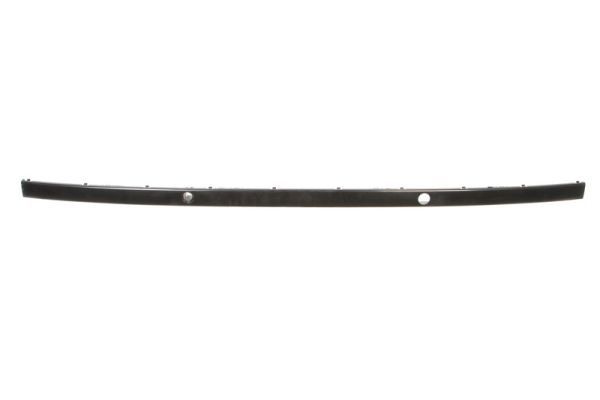 BLIC 5703-05-0075978P Trim/Protection Strip, bumper