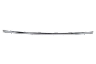 Trim/Protection Strip, bumper BLIC 5703-05-0076929P