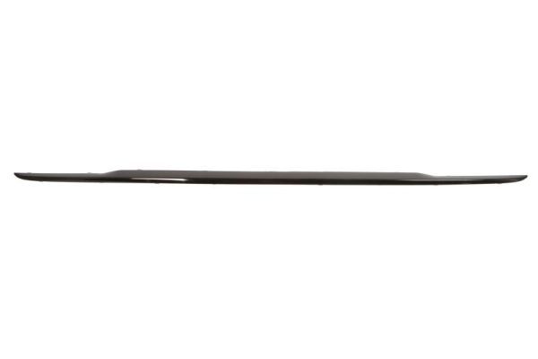 BLIC 5703-05-0086970P Trim/Protection Strip, bumper