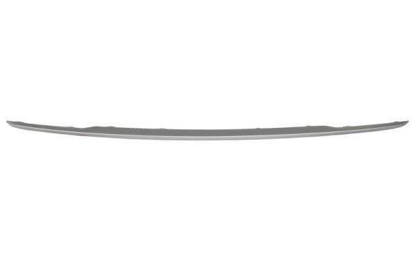 BLIC 5703-05-0086971P Trim/Protection Strip, bumper