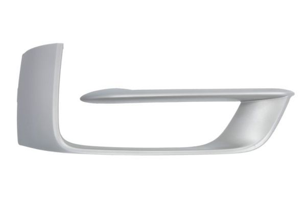 BLIC 5703-05-0096922P Trim/Protection Strip, bumper
