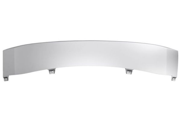 BLIC 5703-05-0098929P Trim/Protection Strip, bumper