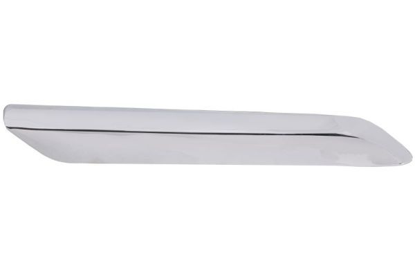 BLIC 5703-05-0526970P Trim/Protection Strip, bumper