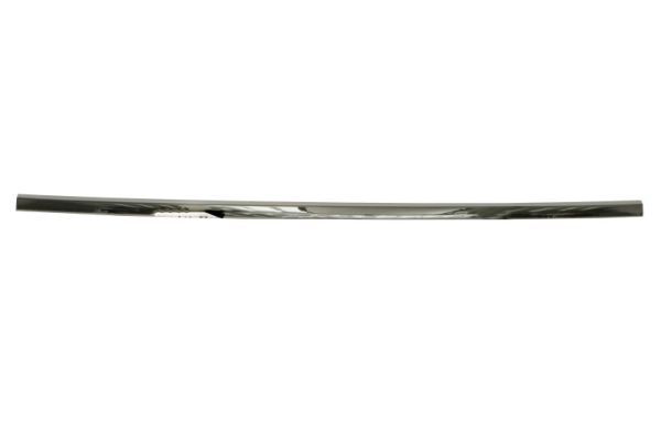 BLIC 5703-05-1621970P Trim/Protection Strip, bumper