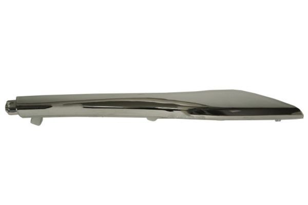 BLIC 5703-05-1621971P Trim/Protection Strip, bumper