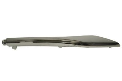 Trim/Protection Strip, bumper BLIC 5703-05-1621971P