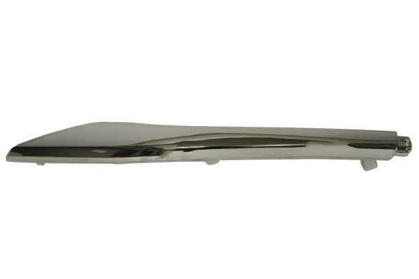BLIC 5703-05-1621972P Trim/Protection Strip, bumper
