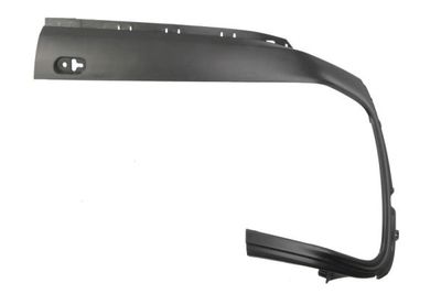Trim/Protection Strip, bumper BLIC 5703-05-2003971P