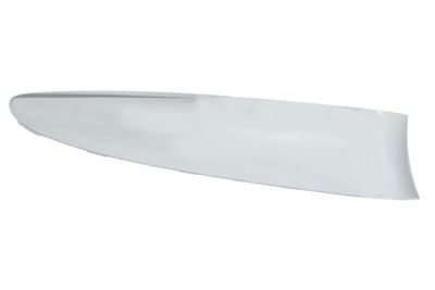 Trim/Protection Strip, bumper BLIC 5703-05-2013928P