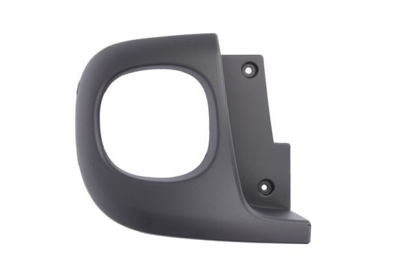 BLIC 5703-05-2013971Q Trim/Protection Strip, bumper