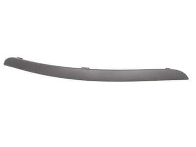 Trim/Protection Strip, bumper BLIC 5703-05-2532922P