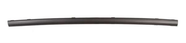 BLIC 5703-05-2555972P Trim/Protection Strip, bumper