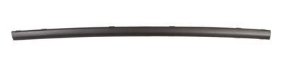 Trim/Protection Strip, bumper BLIC 5703-05-2555972P