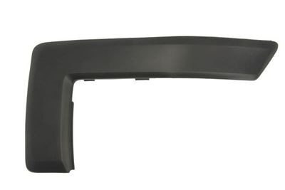 Trim/Protection Strip, bumper BLIC 5703-05-2576921P