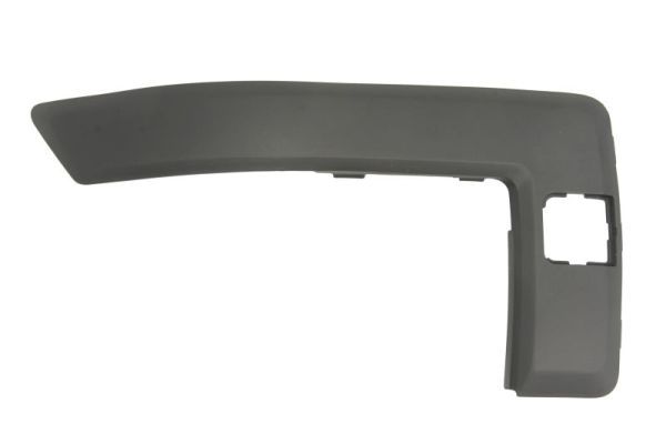 BLIC 5703-05-2576924P Trim/Protection Strip, bumper