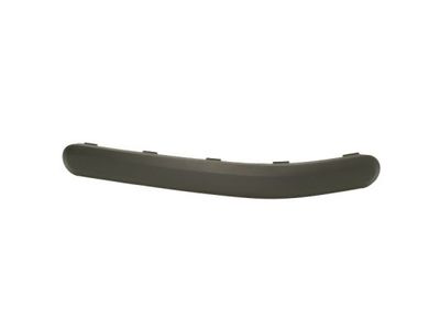 Trim/Protection Strip, bumper BLIC 5703-05-2576971P