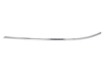 Trim/Protection Strip, bumper BLIC 5703-05-3506923P