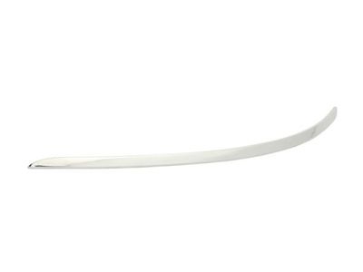 Trim/Protection Strip, bumper BLIC 5703-05-3508923P