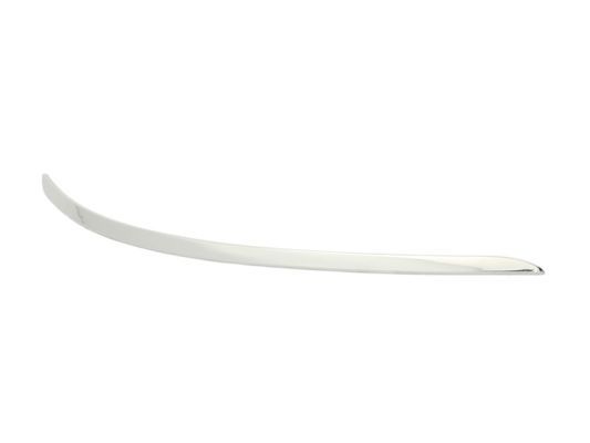 BLIC 5703-05-3508924P Trim/Protection Strip, bumper