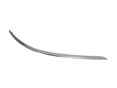 Trim/Protection Strip, bumper BLIC 5703-05-3508971P