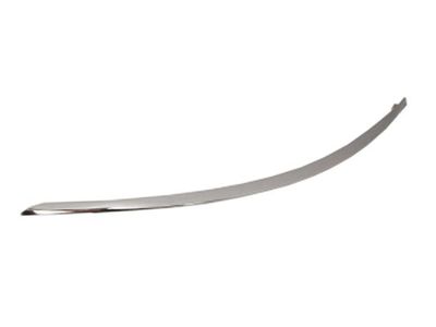 Trim/Protection Strip, bumper BLIC 5703-05-3508972P
