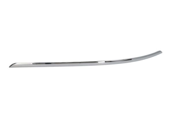 BLIC 5703-05-3509971P Trim/Protection Strip, bumper