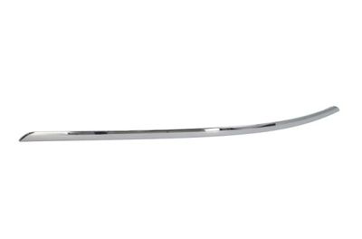 Trim/Protection Strip, bumper BLIC 5703-05-3509971P