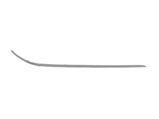 BLIC 5703-05-3515928P Trim/Protection Strip, bumper