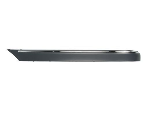 BLIC 5703-05-3515971P Trim/Protection Strip, bumper