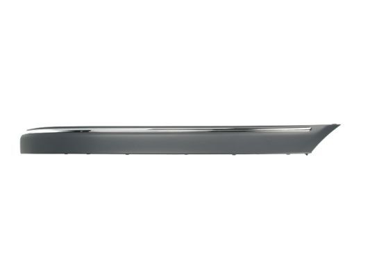 BLIC 5703-05-3515972P Trim/Protection Strip, bumper