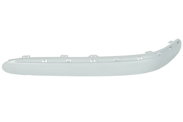 BLIC 5703-05-3517927P Trim/Protection Strip, bumper